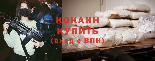 СК Алексин