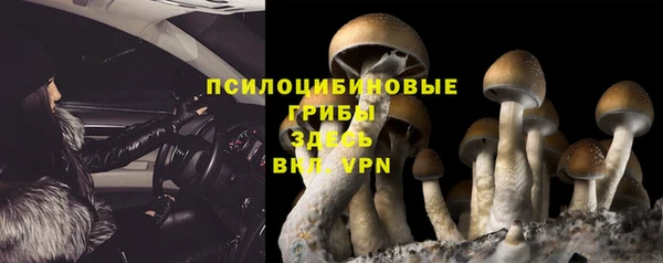 дмт Алзамай