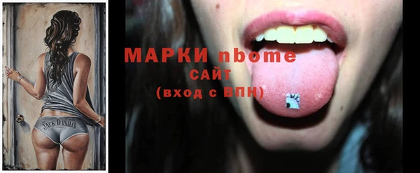 СК Алексин