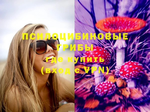 МДМА Алексеевка