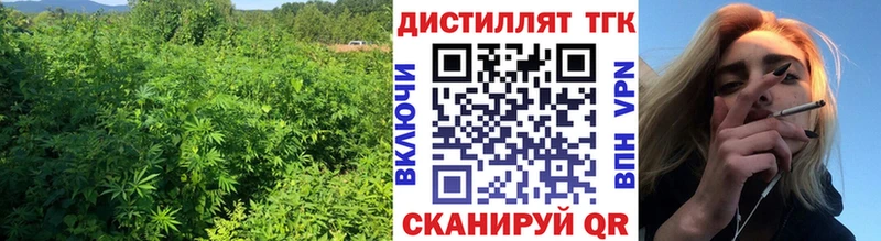 ТГК жижа  Борзя 