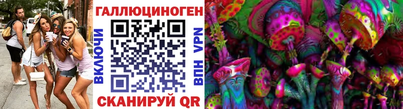 Псилоцибиновые грибы Psilocybe  Борзя 