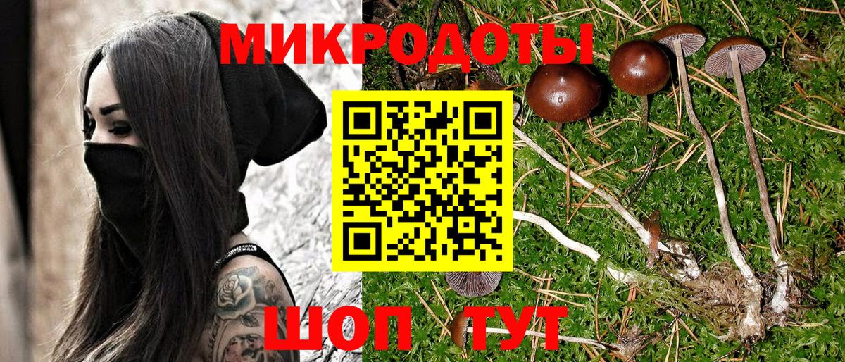Галлюциногенные грибы MAGIC MUSHROOMS Борзя