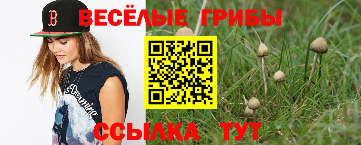 Борзя  Псилоцибиновые грибы мухоморы  Вход с VPN 